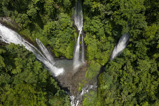 Aerial view of Fiji Waterfall Lemukih cascading through lush tropical rainforest with dense green foliage and rocky terrain in Sawan, Bali, Indonesia.