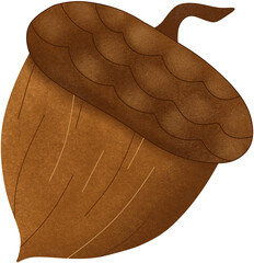 brown oak acorn illustration © Natthida Singson