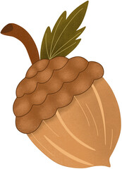 oak acorn with leaf © Natthida Singson