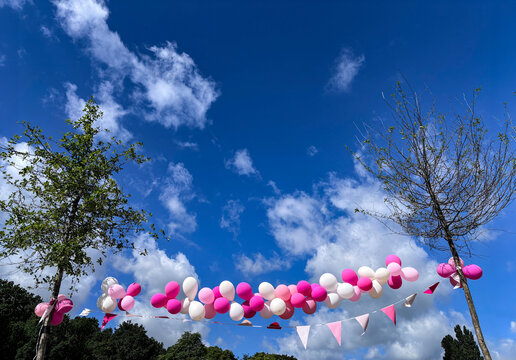 balloons between two trees