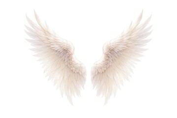 Fototapeta premium Elegant white angel wings with detailed feather texture on a white background.