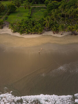 Aerial view of a sandy beach with lush palm trees bordering the shoreline and two people walking on the wet sand near the ocean waves in San Miguel, Provincia de Guanacaste, Costa Rica.