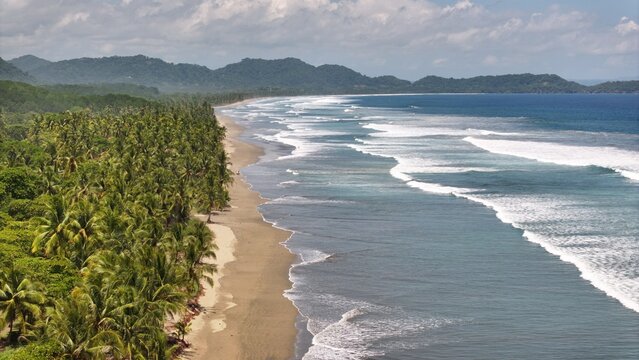 Aerial view of a tropical coastline with palm trees lining the sandy beach and waves rolling onto the shore under a partly cloudy sky in San Miguel, Provincia de Guanacaste, Costa Rica.