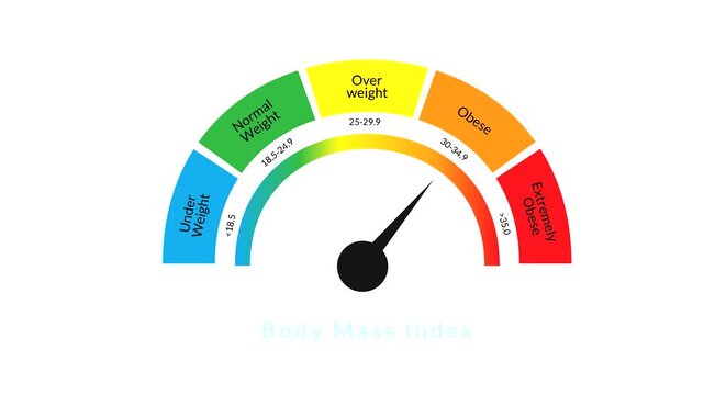 Body Mass Index Gauge Animation with Moving Needle Indicator