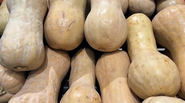 Fresh, ripe Lagenaria (bottle gourds); a pile of Lagenaria (bottle gourds) of various sizes. Close up video