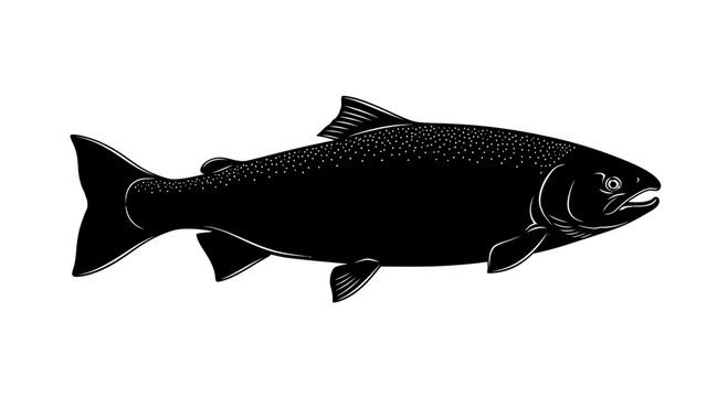 Black fish with white spots on body side with against white background illustration seafood drawing graphic animal marine symbol ocean with water