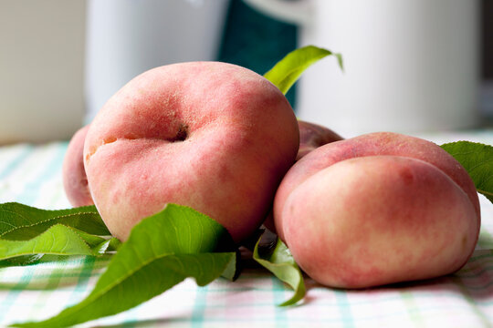 Vineyard peaches (Prunus persica) on a table, studio shot