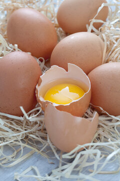 Fresh eggs on wood wool