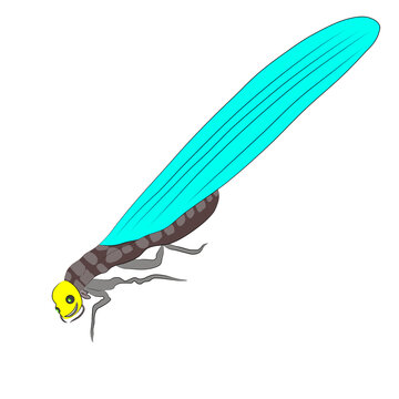 Cartoon winged termite alate insect illustration with cyan wings isolated on transparent background PNG