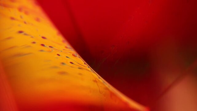Glowing golden fluid plane with speckled texture and deep red background. Warm golden and amber backlighting illuminates a diagonal fluid film plane covered in dark speckle textures.