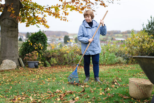 Senior woman rakes autumn leaves in her home garden