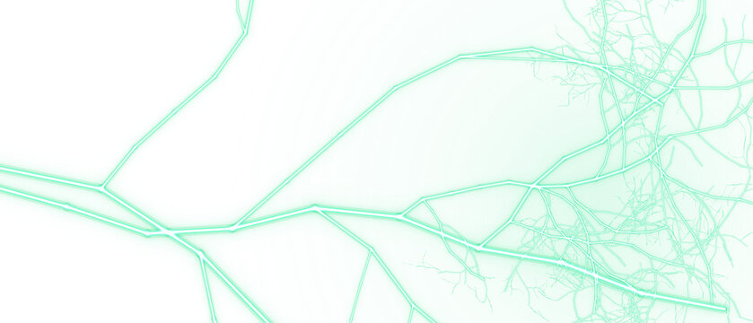 Abstract glowing green neural network structure with intricate branching lines and nodes presented as an isolated on transparent background