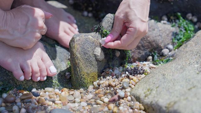 Woman's hands picking up tiny seashells from a rock on the beach