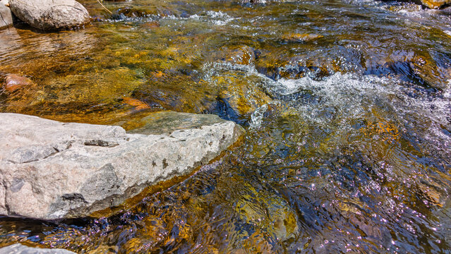 Natural stream flows over wet rocks