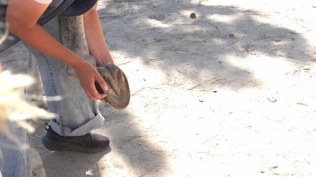 A groomer shows a horse's hoof and tells how to clean it in the summer on the farm as a concept of hypotherapy and pet care