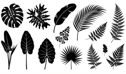 Exotic Tropical and Fern Leaf Silhouette Collection Black White Botanical Vector Set © MstShirin