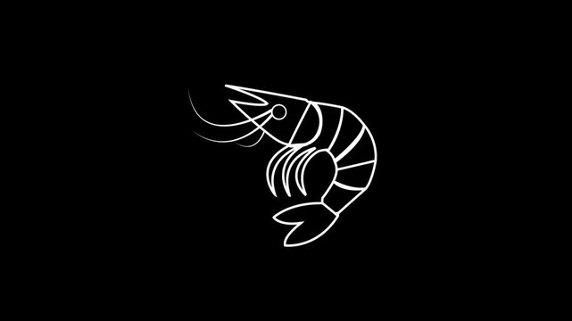 Animated Shrimp Prawn Seafood Line Art Icon Outline Motion Graphic Footage on Black Background Alpha Channel 4K