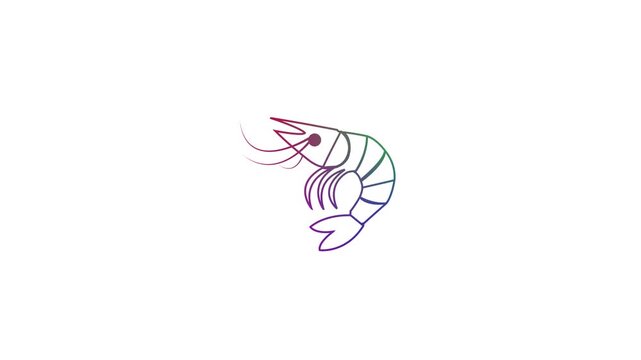 Animated Gradient Shrimp Prawn Seafood Line Art Icon Modern Colorful Motion Graphic Footage White Background 4K
