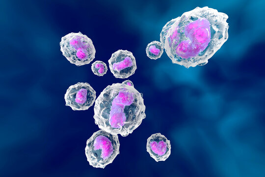 Monocytes, immune system, defense cells, 3D rendered illustration