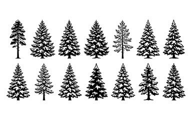 Fototapeta premium Set of black and white pine tree silhouettes for forest design elements and nature themed graphic projects
