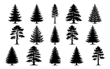 Obraz premium Set of black silhouettes of coniferous trees isolated on a white background for design and nature projects