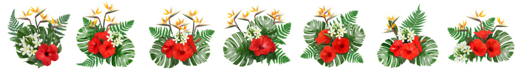 Hibiscus, strelitzia and plumeria flowers with green tropical leaves in floral compositions on white background, set © New Africa