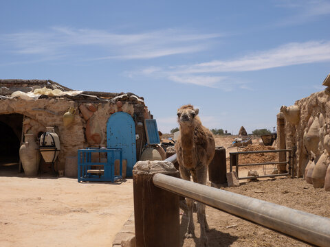 Taller de Alfarer&iacute;a, en Guellala, Isla de Djerba, T&uacute;nez, &Aacute;frica
