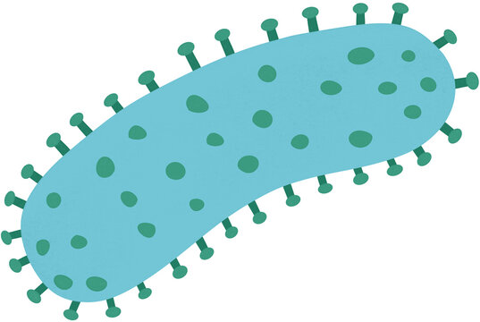 rabies lyssavirus