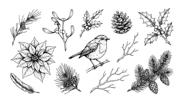 Hand drawn christmas elements collection with robin bird poinsettia holly mistletoe and pine cones in ink
