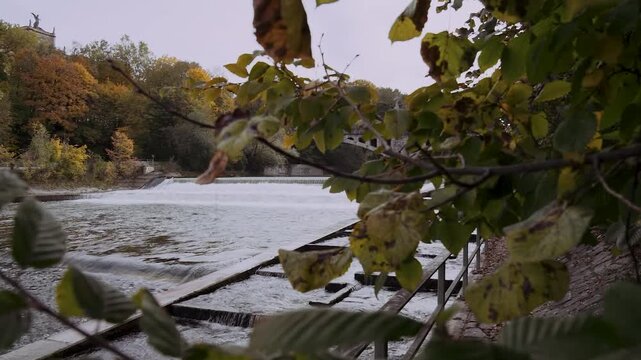 Herbstlaub an der Schwindinsel mit Blick auf Isar und Maximiliansbr&uuml;cke