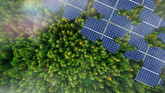 ESG icon concept in the hand for environmental, social, and governance in sustainable and ethical business. Solar panels installed in the green forest, clean energy, environment, solar power