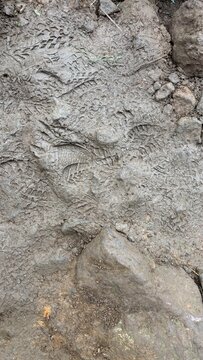 Top view close up of boot shoe footprint imprint on dry rocky grey soil surface