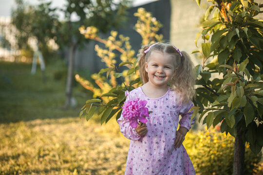 cheerful 3-year-old girl with pigtails in a pink dress with a peony walks in a village meadow