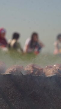 Extreme close up of juicy meat shashlik grilling on skewers over a mangal with smoke, blurred family picnic in the background, vertical video.