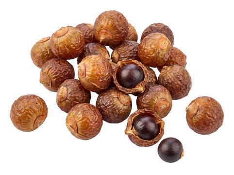 Natural Dried Reetha Soapnuts PNG with Transparent Background