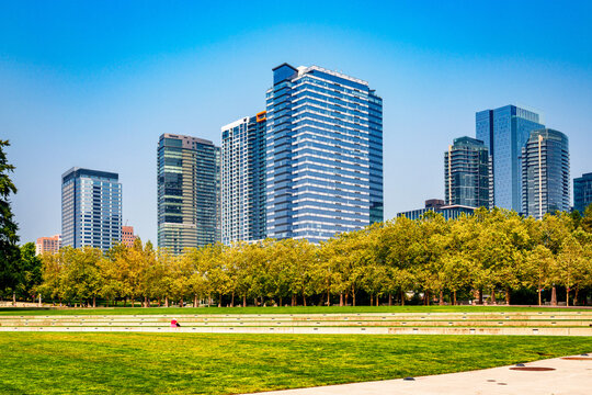 Bellevue Buildings And Park 4