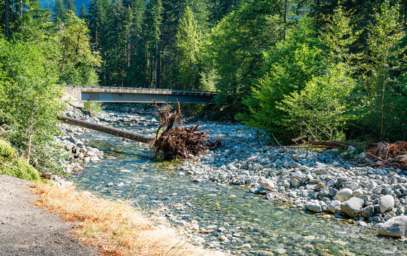 Middle Fork Bridge