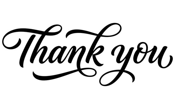 Elegant black ink brush calligraphy lettering of the phrase thank you isolated on a white background