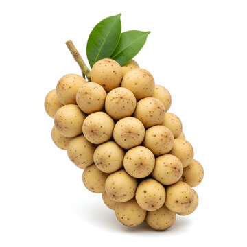 Bunch of fresh langsat fruit with green leaves isolated on white