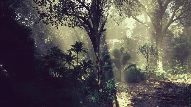 Misty understory with deep shadow pockets and textured bark, twisted roots emerging from damp soil, low light creating moody cinematic atmosphere, evocative