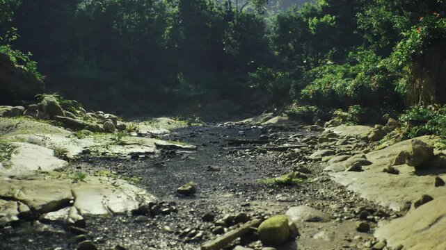 Sunlit Brazilian ecotourism creek path with scattered pebbles and wellworn trail, inviting exploration and guided walks, lush banks and canopy ideal for nature
