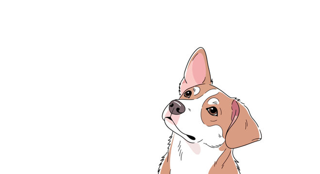 beagle dog isolated