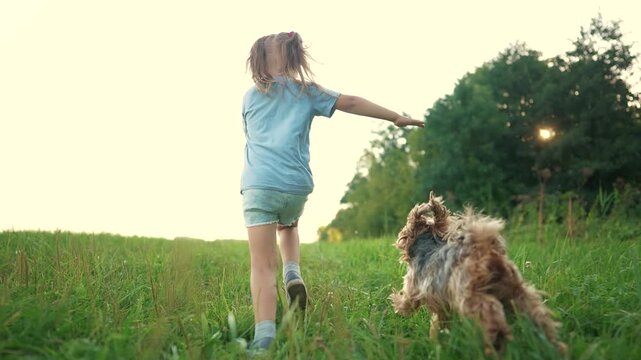 A young girl running with a dog. Girl, runs, dog, park child, summer, dog. child runs with a lifestyle dog in summer.