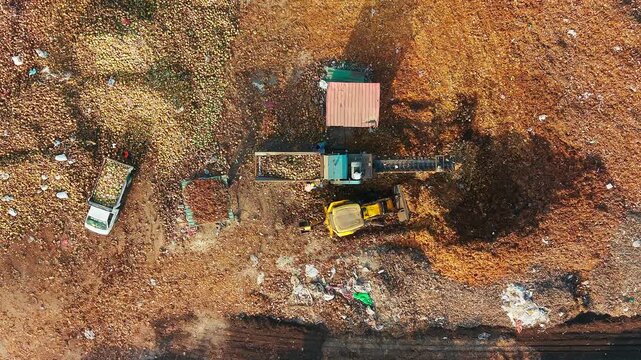 Coconut husk waste segregation yard for extracting coir and coco peat