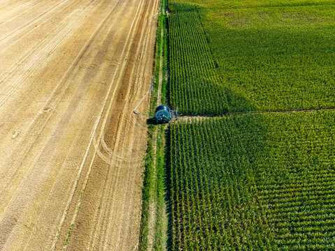 Aerial view of agricultural fields showing harvested golden stubble and green corn crops with an irrigation system between the fields in Hombourg, Grand Est, France.