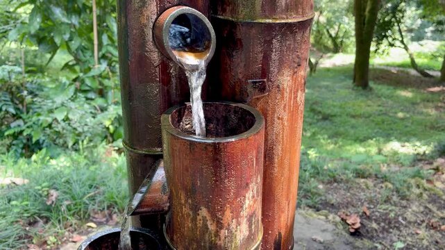 Close-up view of a traditional wooden water pipe with water flowing from a rustic outdoor spring