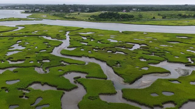 A maze of channels meander through an extensive salt marsh in Pleasant Bay, Cape Cod. Marshes provide critical habitat for many birds, fish, and marine invertebrates to feed, mate, and nest.