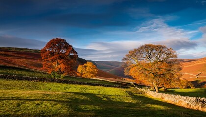 Fototapeta premium Landscape With Trees During Autumn In The Yorkshire Dales