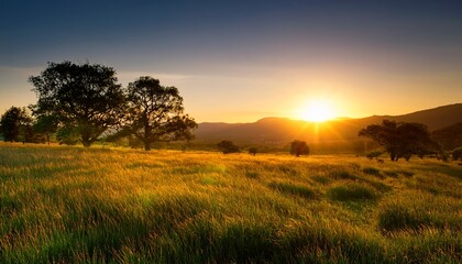 Fototapeta premium Grassland And Trees In Sunset