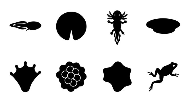 Amphibian Life Cycle Vector Icons: Tadpole, Axolotl, Frog, Eggs, Lily Pad, Footprint